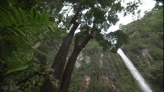 Link to Video | 2008, Philippines