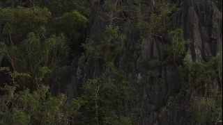 Link to Video | 2008, Philippines
