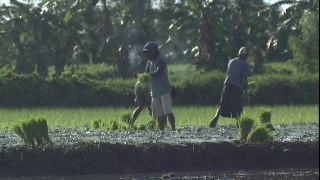 Link to Video | 2008, Philippines