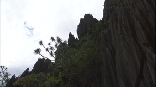 Link to Video | 2008, Philippines