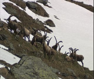 Link to Video | 2008, Philippines