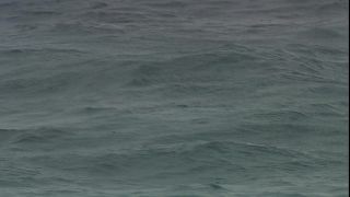 Link to Video | 2008, Philippines