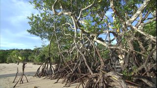 Link zum Video | 2008, Philippinen