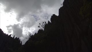 Link to Video | 2008, Philippines