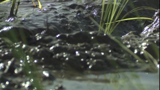 Link to Video | 2008, Philippines