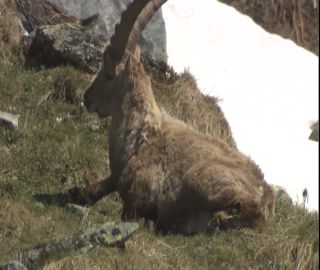 Link to Video | 2008, Philippines