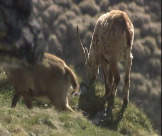 Link to Video | 2008, Philippines