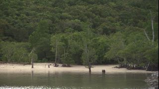 Link to Video | 2008, Philippines