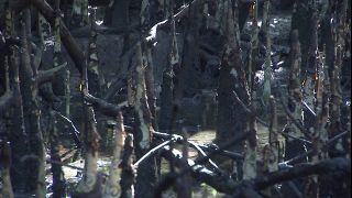 Link zum Video | 2008, Philippinen