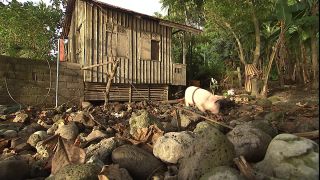 Link to Video | 2008, Philippines