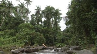 Link zum Video | 2008, Philippinen