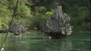 Link to Video | 2008, Philippines