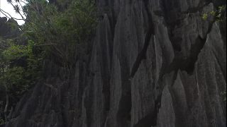 Link to Video | 2008, Philippines