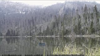 Link to Video | liegendes Totholz, tree, climate change, environmental degradation, forest dieback, coarse woody debris, Picea abies, dryness, destruction, 2012, Czech Republic, color, monoculture, forest degradation, forest, daytime, Fichtenwald, global warming