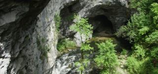 Link to Video | landscape, Škocjan, June, summer, karst, Reka River, Slovenia, color, 4K resolution, green, river, Europe, Škocjan Caves, Kras, plant, UNESCO World Heritage Site