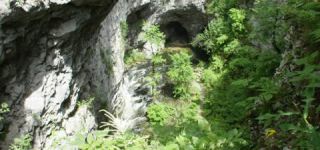 Link to Video | landscape, Škocjan, June, summer, karst, Reka River, Slovenia, color, 4K resolution, green, river, Europe, Škocjan Caves, Kras, plant, UNESCO World Heritage Site