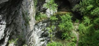 Link to Video | landscape, Škocjan, June, summer, karst, Reka River, Slovenia, color, 4K resolution, green, river, Europe, Škocjan Caves, Kras, plant, UNESCO World Heritage Site