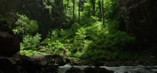 Link to Video | landscape, Škocjan, June, summer, karst, Reka River, Slovenia, color, 4K resolution, green, river, Europe, Škocjan Caves, Kras, plant, UNESCO World Heritage Site