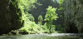 Link to Video | landscape, Škocjan, June, summer, karst, Reka River, Slovenia, color, 4K resolution, green, river, Europe, Škocjan Caves, Kras, plant, UNESCO World Heritage Site