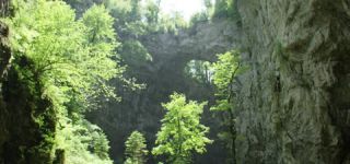 Link to Video | landscape, Škocjan, June, summer, karst, Reka River, Slovenia, color, 4K resolution, green, river, Europe, Škocjan Caves, Kras, plant, UNESCO World Heritage Site