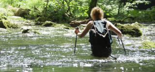 Link to Video | landscape, Škocjan, June, summer, karst, Reka River, Slovenia, color, 4K resolution, green, river, Europe, Škocjan Caves, Kras, plant, UNESCO World Heritage Site