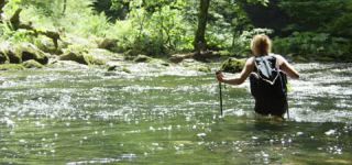 Link to Video | landscape, Škocjan, June, summer, karst, Reka River, Slovenia, color, 4K resolution, green, river, Europe, Škocjan Caves, Kras, plant, UNESCO World Heritage Site