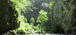 Link to Video | landscape, Škocjan, June, summer, karst, Reka River, Slovenia, color, 4K resolution, green, river, Europe, Škocjan Caves, Kras, plant, UNESCO World Heritage Site