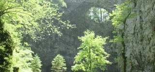 Link to Video | landscape, Škocjan, June, summer, karst, Reka River, Slovenia, color, 4K resolution, green, river, Europe, Škocjan Caves, Kras, plant, UNESCO World Heritage Site