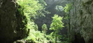 Link to Video | landscape, Škocjan, June, summer, karst, Reka River, Slovenia, color, 4K resolution, green, river, Europe, Škocjan Caves, Kras, plant, UNESCO World Heritage Site