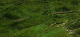 Link zum Video | Juni, Sommer, Karst, Slowenien, Farbe, 4K, 2016, flüssiges Wasser, Europa, Karst, Tier, Natur