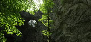 Link zum Video | Landschaft, Škocjan, Juni, Sommer, Karst, Reka, Slowenien, Farbe, 4K, Grün, Fluss, Europa, Höhlen von Škocjan, Karst, Pflanzen, UNESCO-Welterbe
