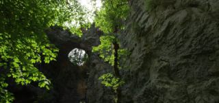 Link zum Video | Landschaft, Škocjan, Juni, Sommer, Karst, Reka, Slowenien, Farbe, 4K, Grün, Fluss, Europa, Höhlen von Škocjan, Karst, Pflanzen, UNESCO-Welterbe