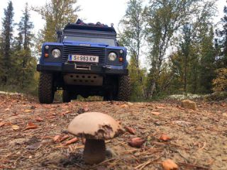 Link to Photo | blue, motor car, adventure, four-wheel drive, color, Land Rover, 2024, nature, Land Rover Defender (L316), off-road vehicle