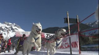 Link to Video | energy, occurrence, December, winter, 16:9, dog, Full High Definition, physical strength, sled dog racing, 2005, sound on tape, winter sport, color, race, Central Europe, dog sport, Siberian Husky, dog breed, Austria, Sport, European Union, competition, Werfenweng, day, animal, snow, competition
