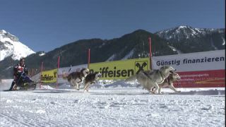 Link to Video | energy, occurrence, December, winter, 16:9, dog, Full High Definition, physical strength, sled dog racing, 2005, sound on tape, winter sport, color, race, Central Europe, dog sport, Siberian Husky, dog breed, Austria, Sport, European Union, competition, Werfenweng, day, animal, snow, competition