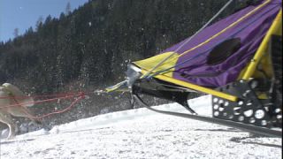 Link to Video | energy, occurrence, December, winter, 16:9, dog, Full High Definition, physical strength, sled dog racing, 2005, sound on tape, winter sport, color, race, Central Europe, dog sport, Siberian Husky, dog breed, Austria, Sport, European Union, competition, Werfenweng, day, animal, snow, competition