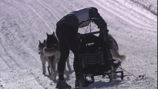 Link to Video | energy, occurrence, December, winter, 16:9, dog, Full High Definition, physical strength, sled dog racing, 2005, sound on tape, winter sport, color, race, Central Europe, dog sport, Siberian Husky, dog breed, Austria, Sport, European Union, competition, Werfenweng, day, animal, snow, competition