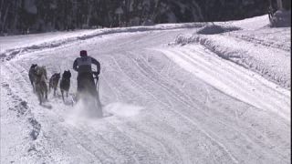 Link to Video | energy, occurrence, December, winter, 16:9, dog, Full High Definition, physical strength, sled dog racing, 2005, sound on tape, winter sport, color, race, Central Europe, dog sport, Siberian Husky, dog breed, Austria, Sport, European Union, competition, Werfenweng, day, animal, snow, competition