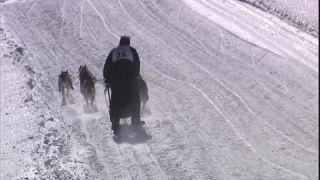 Link to Video | energy, occurrence, December, winter, 16:9, dog, Full High Definition, physical strength, sled dog racing, 2005, sound on tape, winter sport, color, race, Central Europe, dog sport, Siberian Husky, dog breed, Austria, Sport, European Union, competition, Werfenweng, day, animal, snow, competition