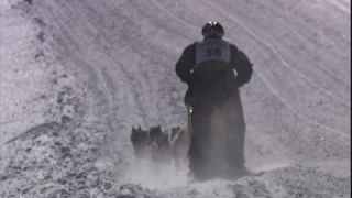 Link to Video | energy, occurrence, December, winter, 16:9, dog, Full High Definition, physical strength, sled dog racing, 2005, sound on tape, winter sport, color, race, Central Europe, dog sport, Siberian Husky, dog breed, Austria, Sport, European Union, competition, Werfenweng, day, animal, snow, competition