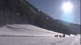 Link to Video | energy, occurrence, December, winter, 16:9, dog, Full High Definition, physical strength, sled dog racing, 2005, sound on tape, winter sport, color, race, Central Europe, dog sport, Siberian Husky, dog breed, Austria, Sport, European Union, competition, Werfenweng, day, animal, snow, competition