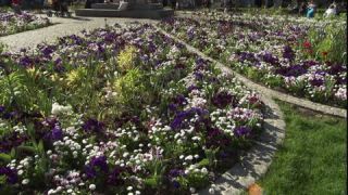 Link to Video | summer, state capital in Germany, Glockenbachviertel, big city, Gärtnerplatz, Gärtnerplatzviertel, Munich, Full High Definition, Germany, 2009, color, Central Europe, Europe, Bavaria