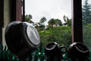 Link to Photo